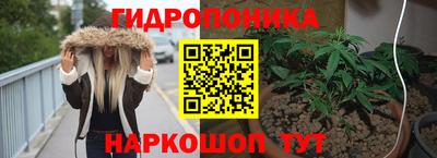 молекула духа Можга