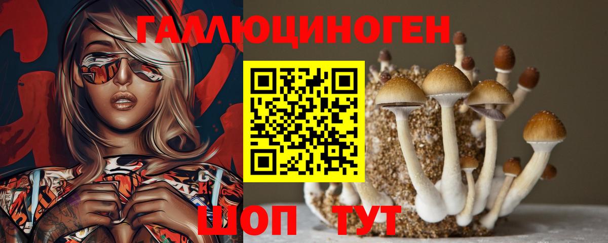 Псилоцибиновые грибы ЛСД  Вход с VPN  Стрежевой 